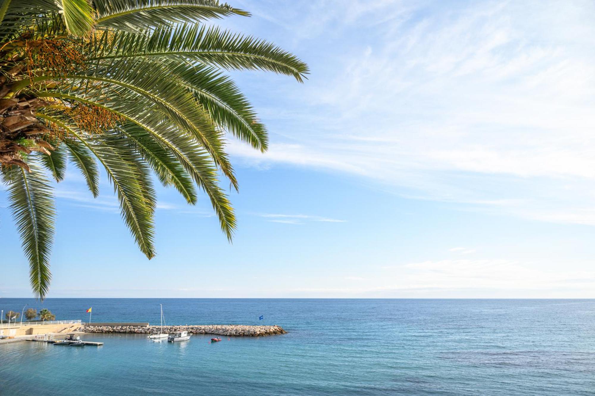 Le Coq Ligures - Air Conditioning - Seafront - Wifi Roquebrune-Cap-Martin Ngoại thất bức ảnh